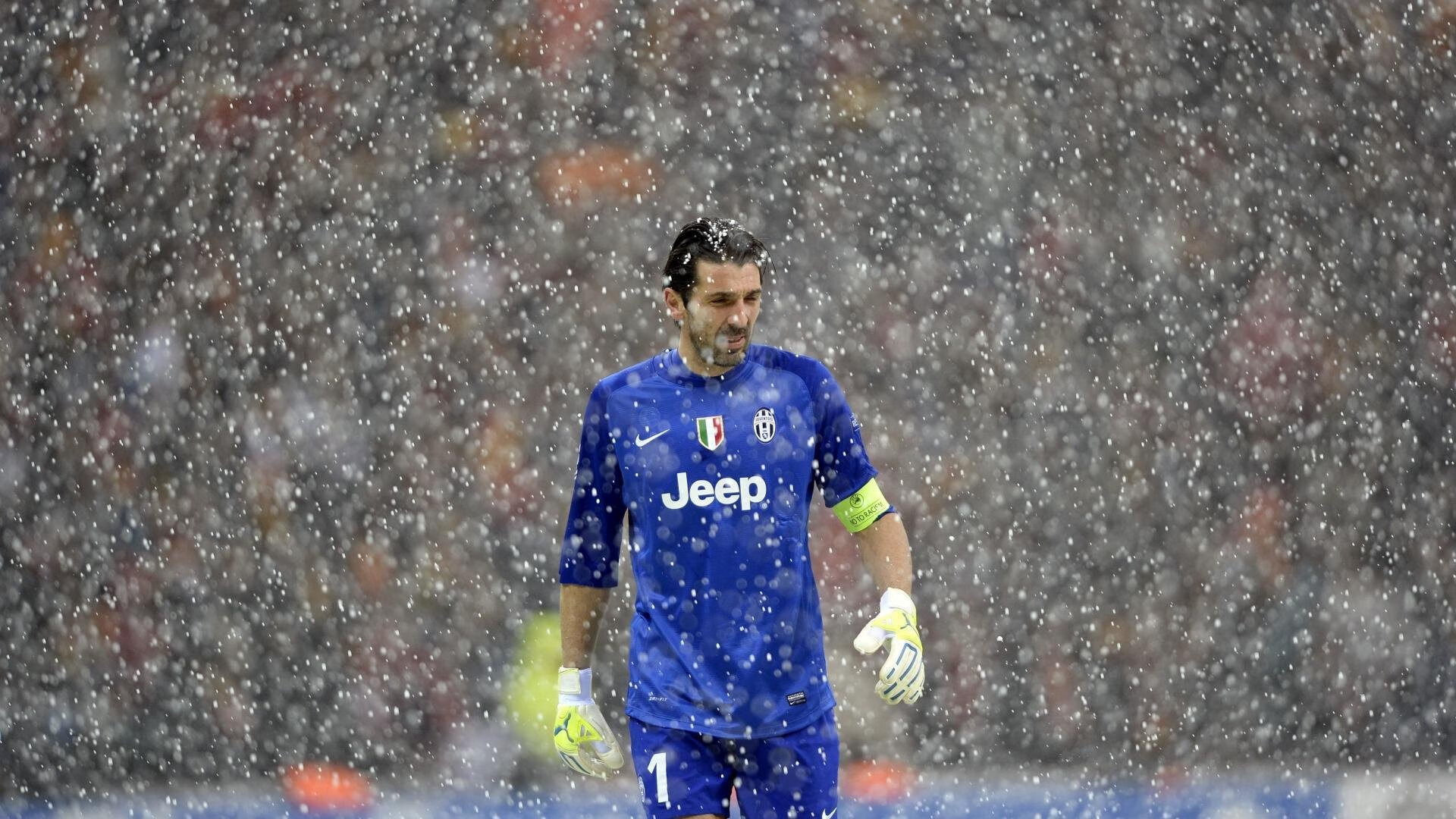 跳水技术全面中立代表队A稳步前进，中国跳水队目标